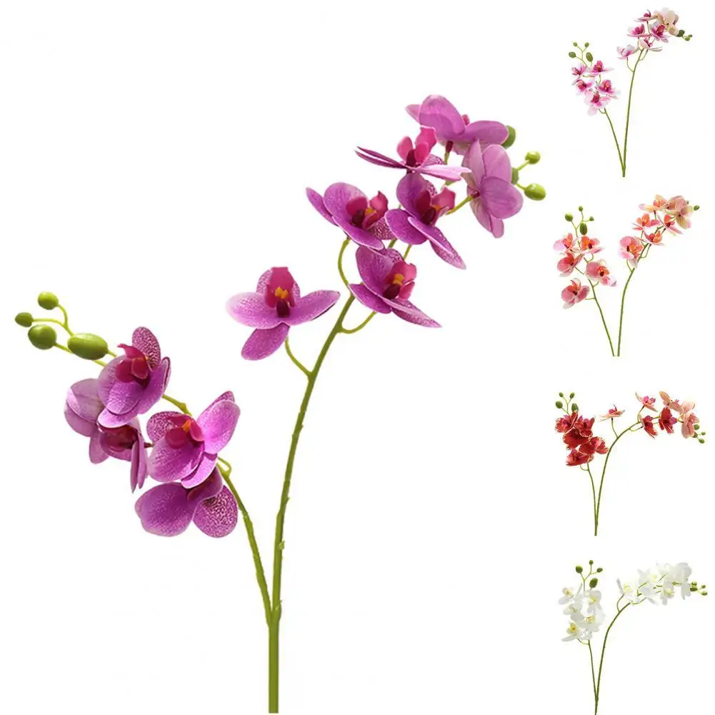 Pilt /2034/Kunstlik-orhidee-3d-printorchids-valge-tehislilled-1_share/upload.jpeg