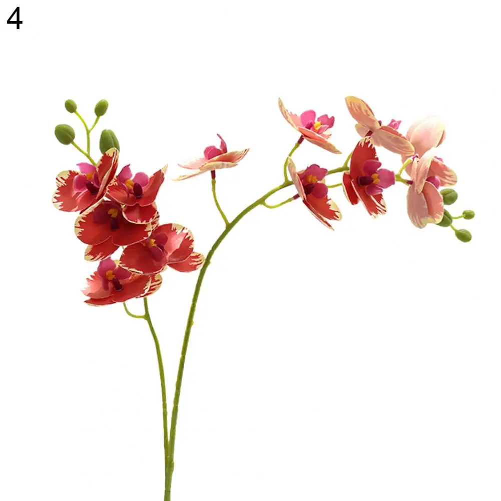 Pilt /2034/Kunstlik-orhidee-3d-printorchids-valge-tehislilled-2_share/upload.jpeg