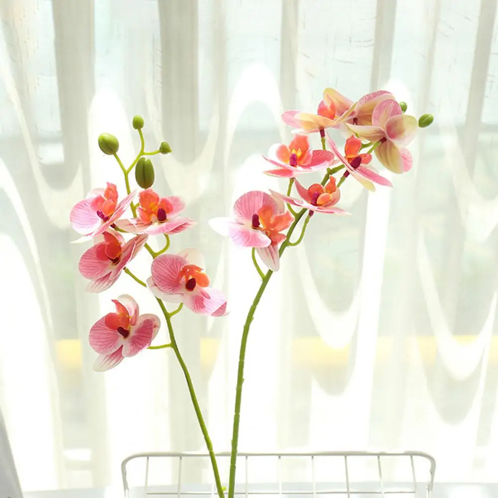 Pilt /2034/Kunstlik-orhidee-3d-printorchids-valge-tehislilled-3_share/upload.jpeg