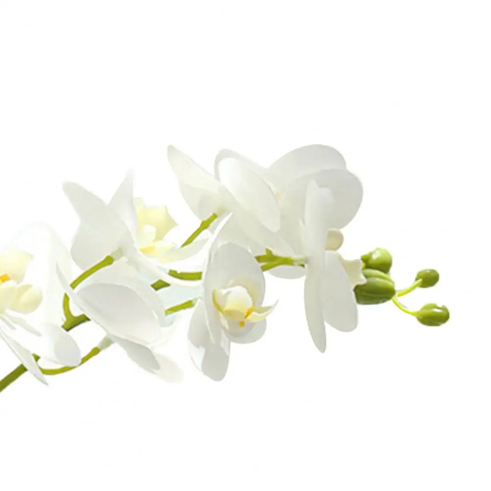 Pilt /2034/Kunstlik-orhidee-3d-printorchids-valge-tehislilled-5_share/upload.jpeg