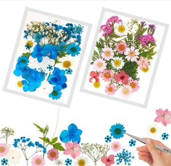 12tk Reaalne Kuivatatud Pressitud Lilled, Lehed Naturaalne Kuivatatud Lilled DIY Epoksüvaik Täitmise Ehted Kaunistamise Tarvikud