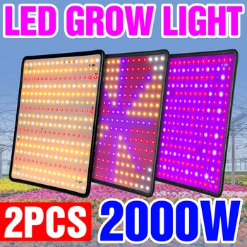 2TK LED Grow Light Täieliku Spektri Lamp Füto Pirn Kasvab Taimede Kasvu Lamp 1000W 2000W Hüdropooniline Kerge Lille Seemned Telk 85-265V
