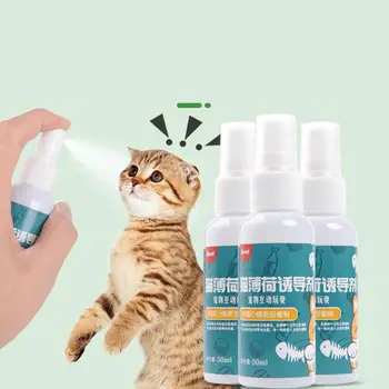 50ml Kass Catnip Spray Loomuliku Tervisliku Ohutu Pikaajalise Mõju Kriimustada Pad Indutseerija CatMint Kass Koolitus Mänguasi Lemmikloomade Tarvikud