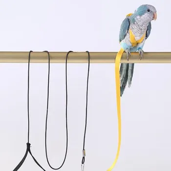 Papagoi Lind Rakmete Rihma Otsas Väljas Sõidavad Veojõukontroll Rihmad Bänd Reguleeritav Anti-Amps Koolitus Köis